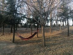 -安德鲁户外烧烤帐篷营地(马泉营店)