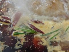 -重庆故事姊妹老火锅(财经学院店)