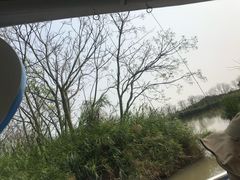 -大湾区中央湿地公园