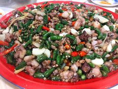 霸王兔尖椒兔-东吴霸王兔(松青路店)