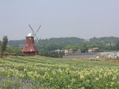 -紫颐香薰山谷景区