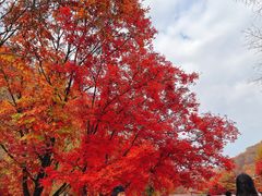 -本溪老边沟风景区