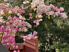 -陈家祠堂-游客中心