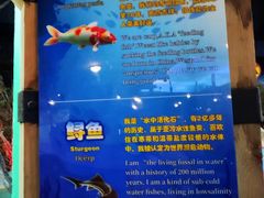 -波塞冬海底世界