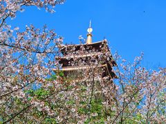 -牛首山文化旅游区