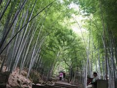 -穹窿山景区