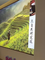 -头道汤头疗养生馆