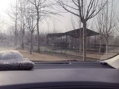 -秦皇岛野生动物园