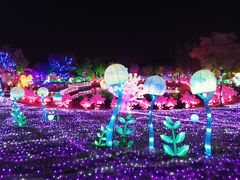 -歌斐颂巧克力小镇