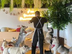 -Husky Go! 哈士奇体验馆·宠物咖啡厅狗咖
