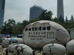 -陕西自然博物馆