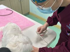 -北京观赏动物医院·24小时大型综合·猫专科·异宠专科