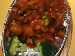 -素虎小呆鸟(西二旗店)