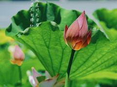 -湖南烈士公园(芙蓉区)