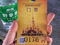 -西双版纳勐泐文化旅游区