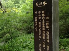-陕西省红河谷森林公园