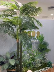 点击看大图 -八佰伴8008星级形象店