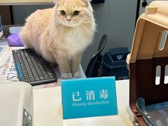 -立德动物医院·重症转诊·24H夜诊·CT·心脏彩超(顺德中心分院)