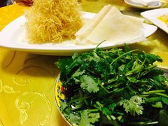 -丁老爷子苏香圆
