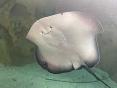 -珠海长隆海洋王国