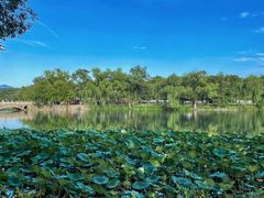 -承德避暑山庄景区