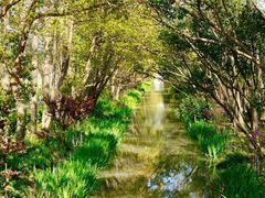 -上海长兴岛郊野公园