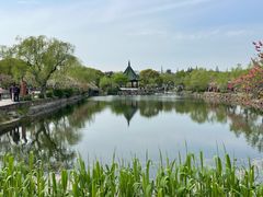 -无锡蠡湖国家湿地公园-蠡园