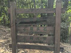-火炉山森林公园
