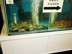 -新苗超市(花城店)