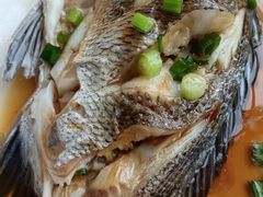 黑鲷-阿军排档·烧烤