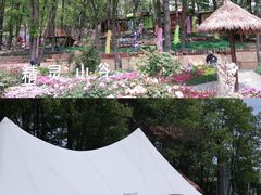 -沂蒙山旅游区云蒙景区(蒙山国家森林公园)