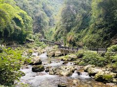 -三峡人家风景区