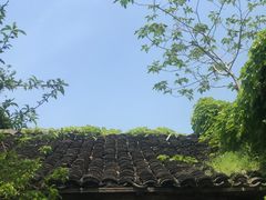 -书隐楼