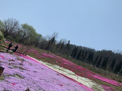 -棒棰岛宾馆景区