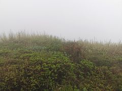 -秦岭风景区