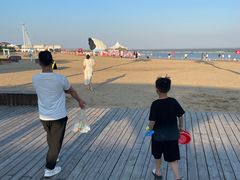 -碧海金沙