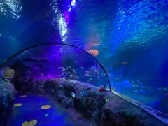 -沈阳海洋探索中心