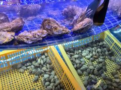 -星伦多自助料理·涮烤一体(虹悦城店)