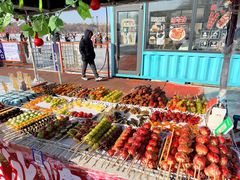 -长春市南湖公园