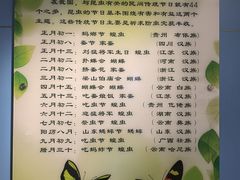 -上海昆虫博物馆