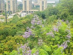 -飞凤山奥体公园