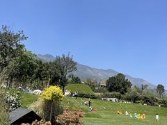 -云禾壹海景庄园餐厅