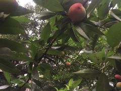-阿曼达主题KTV(南湖都会店)