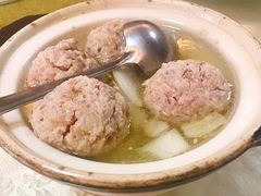 -丁老爷子苏香圆