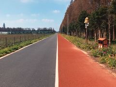 -上海长兴岛郊野公园