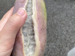-大观篆新农贸市场