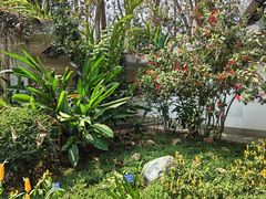 -中国科学院西双版纳热带植物园