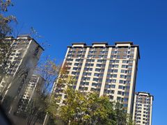 -刘记羊汤·烧饼夹肘子