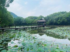 -兰亭风景区