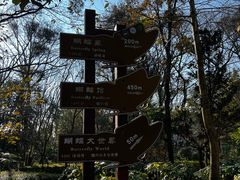 -蝴蝶泉公园